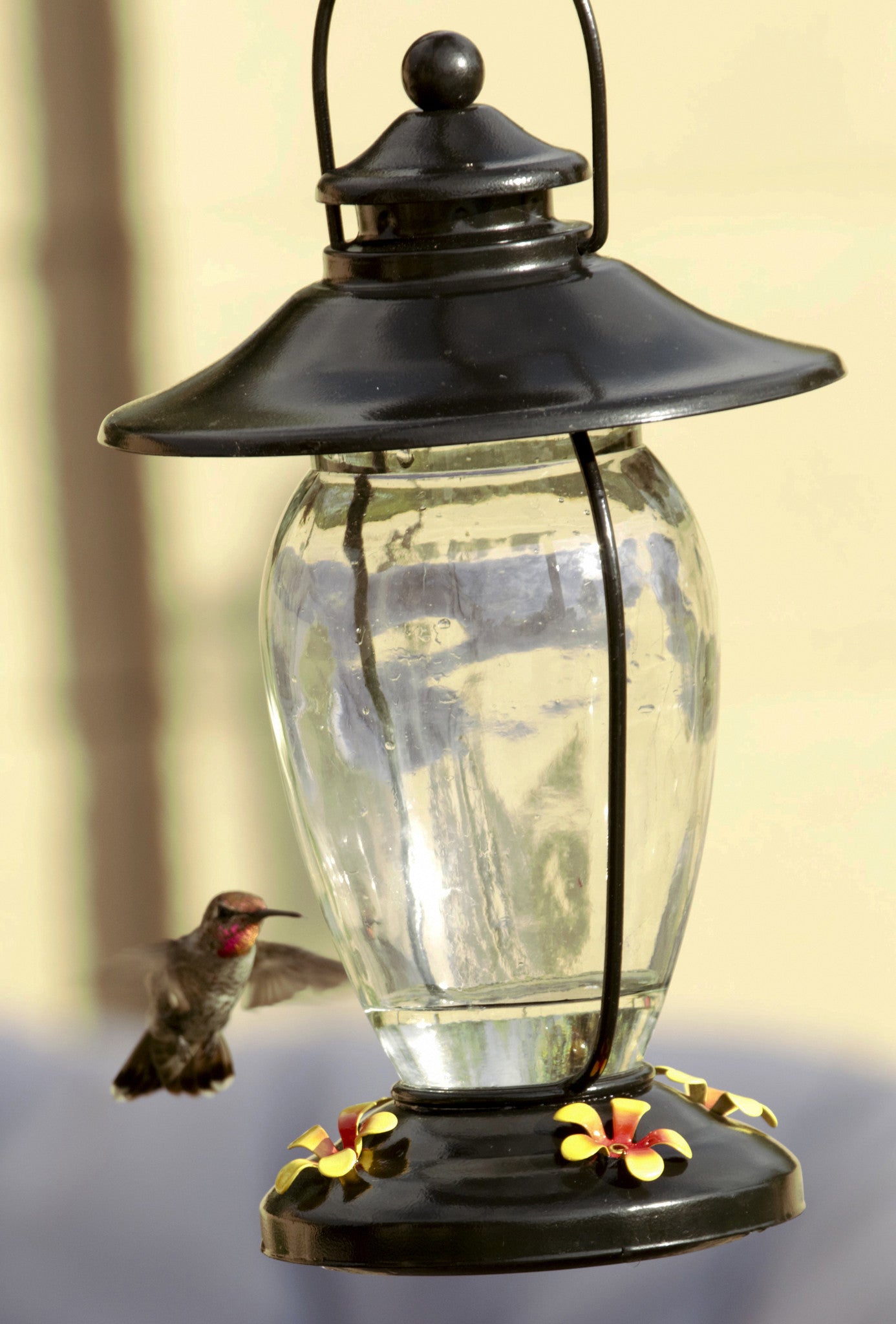 diy hummingbird feeder from old lantern