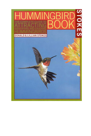 Hummingbirds A Beginners Guide