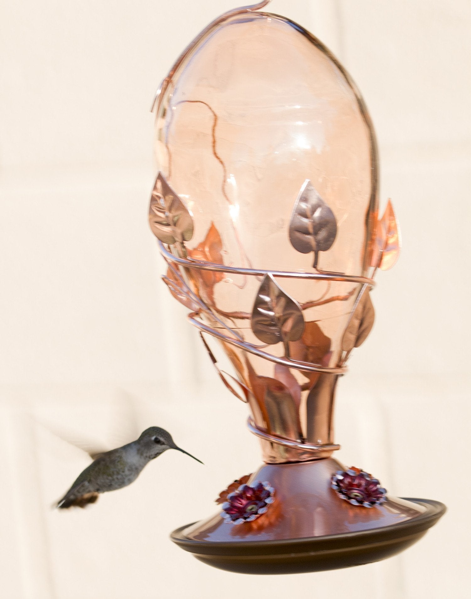 Plow & Hearth Glass Window Hummingbird Feeder & Reviews - Wayfair