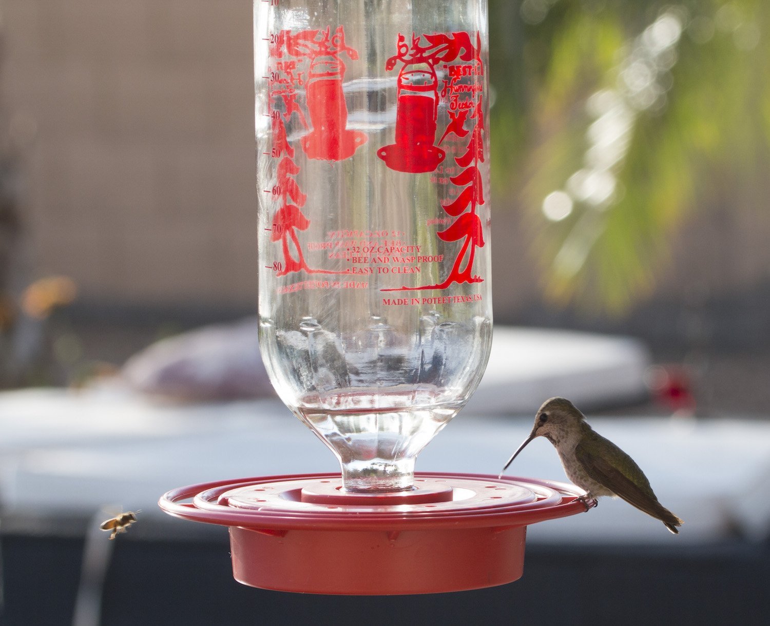 best wasp proof hummingbird feeder