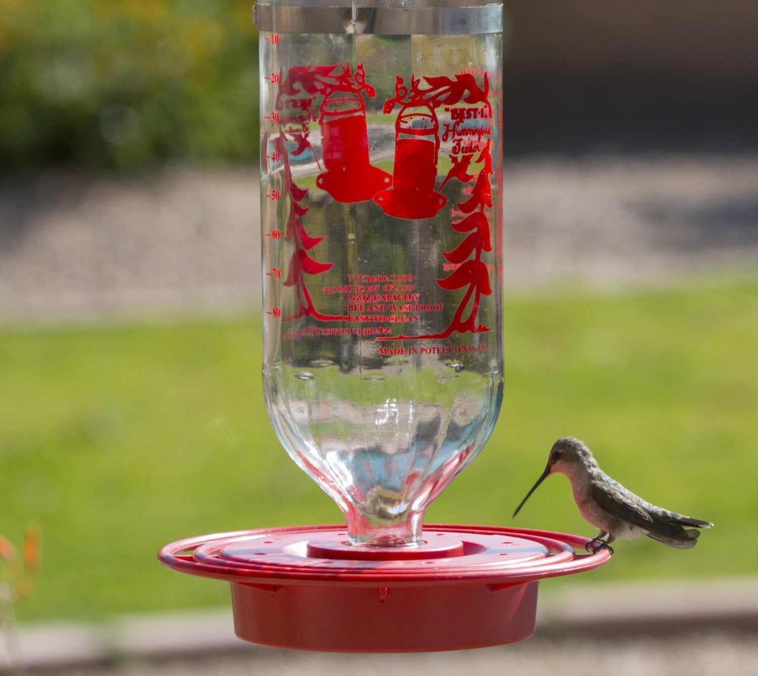 best wasp proof hummingbird feeder