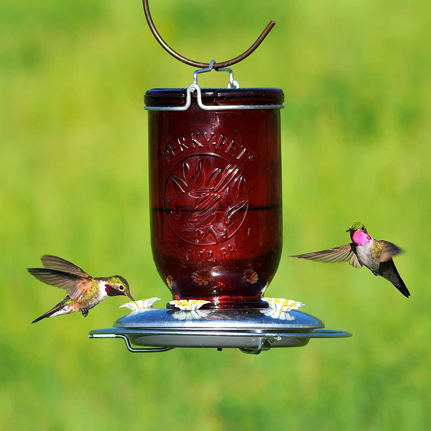 mason jar hummingbird feeder