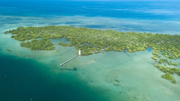 Mangrov Island