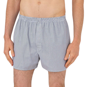 Sunspel  Blue White Cotton Micro Gingham Poplin Boxer Shorts – Baltzar