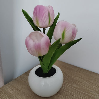 Cùng thưởng thức một món đèn bàn hoa tulip đầy ấn tượng với thiết kế tinh tế và hoa đẹp lung linh. Không chỉ giúp bạn thư giãn và sáng tạo trong không gian làm việc, món đèn bàn này còn là một món đồ trang trí sang trọng cho căn phòng của bạn.