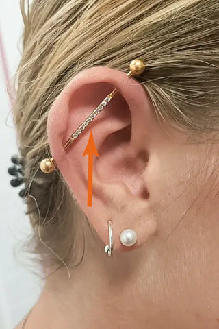 Emplacement du piercing industriel sur le cartilage de l'oreille