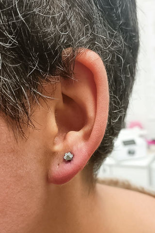 Piercing au lobe avec notre bijou Paw en titane dans sa version argentée