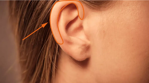 Désignation de la zone du piercing de l'hélix sur une oreille vierge