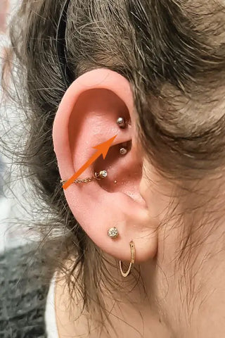 Location of the rook on the ear