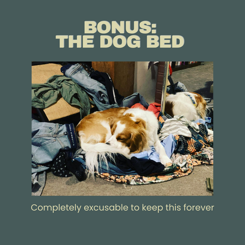 The dog bed as a solution to your floor-drobe