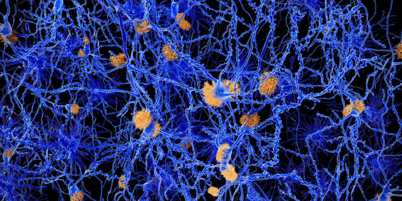 neurons