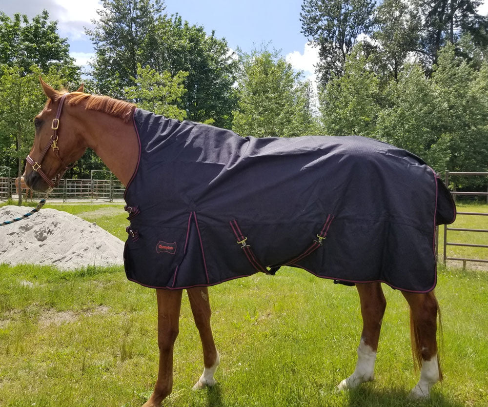 Leg Straps — Performance Horse Blankets