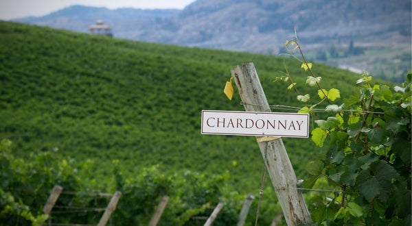 Chardonnay