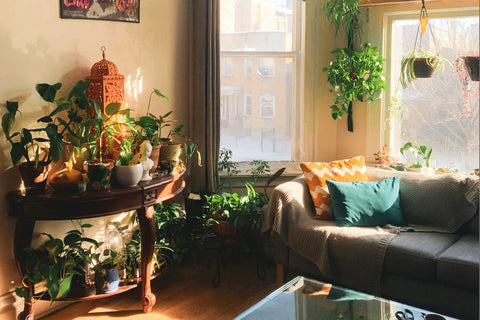 boho apartment aesthetic