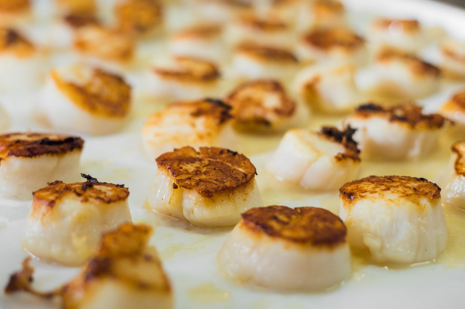 Pistachio And Herb Crusted Pan Seared Cape Cod Scallops - Beck & Bulow