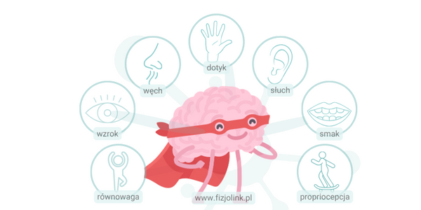 integracja sensoryczna - odbieranie i przetwarzanie bodźców przez mózg