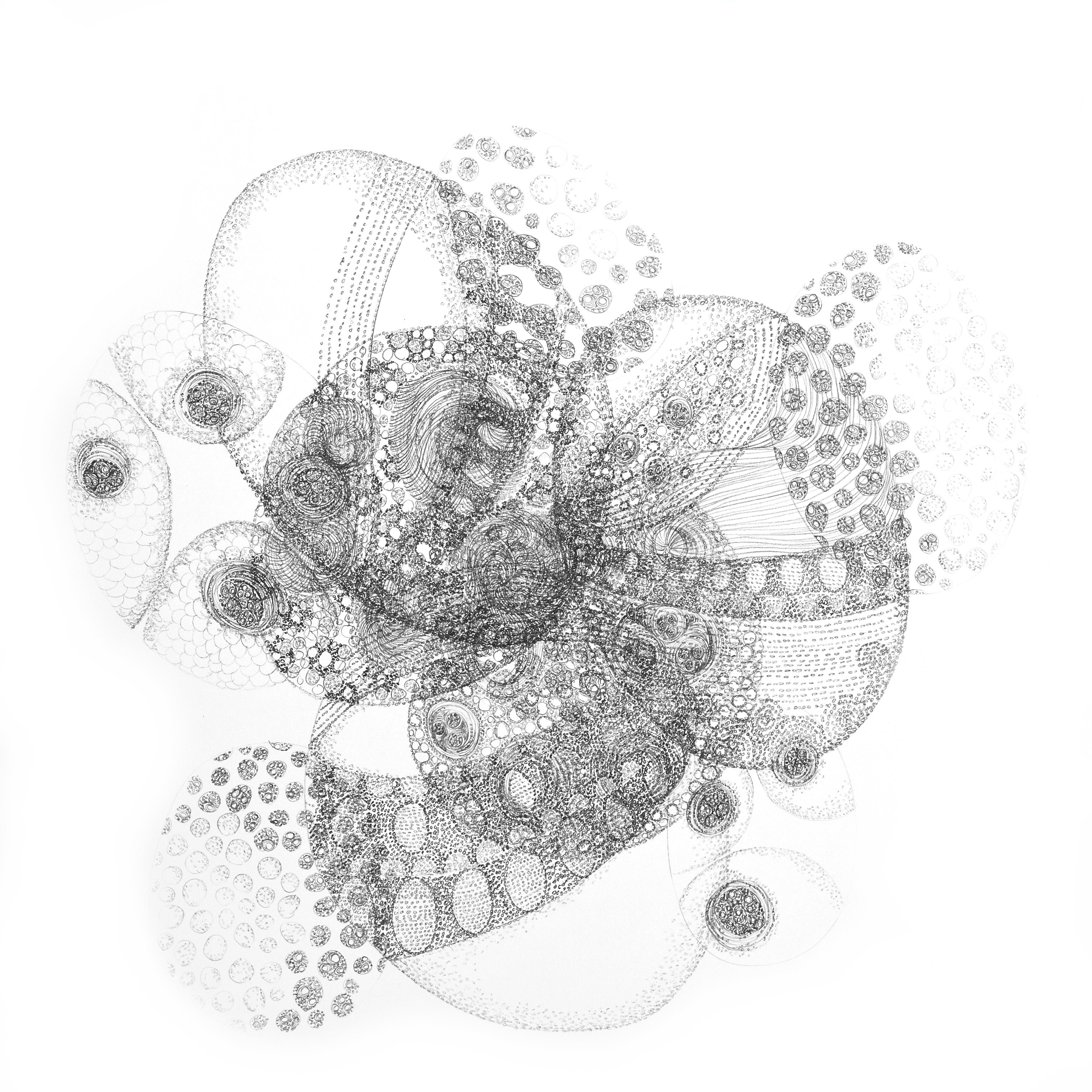 The Multiplicity of Nature