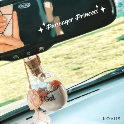 Novus™ Passenger Princess Sticker – Novus USA