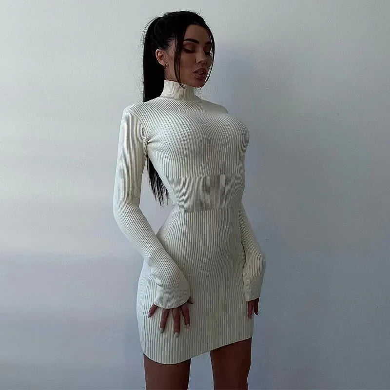 Elegant Autumn Long Sleeve Knitted Turtleneck Midi Dress - Image 13