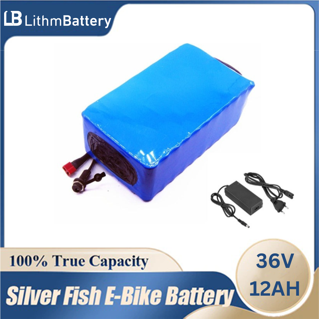 12AH E_Bike Battery Built in 20A BMS 36 Volt with 2A