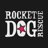 Rocket Dog Rescue Logo