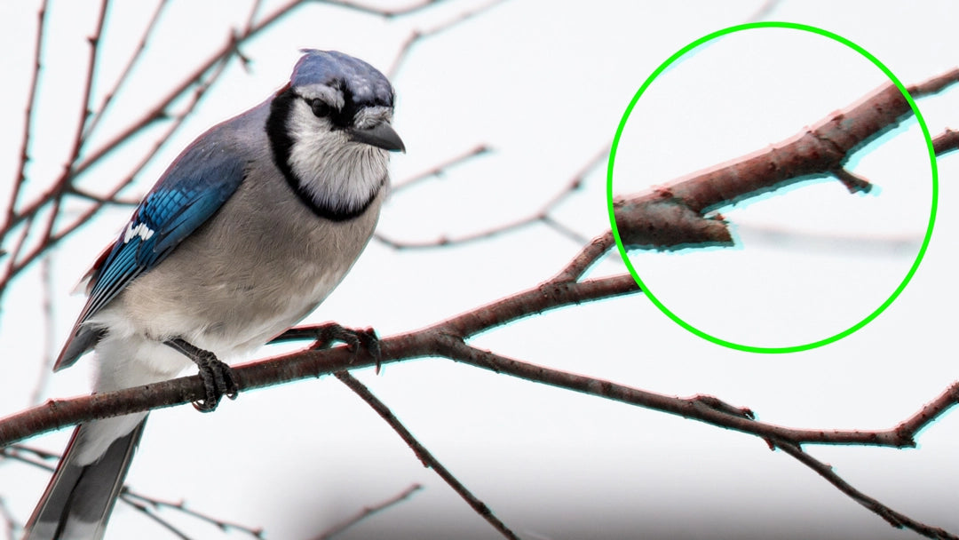 What is Chromatic aberration in photography