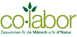 co-labor.lu logo