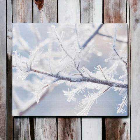 Winter Wonderland Frozen Branch Canvas Wall Art