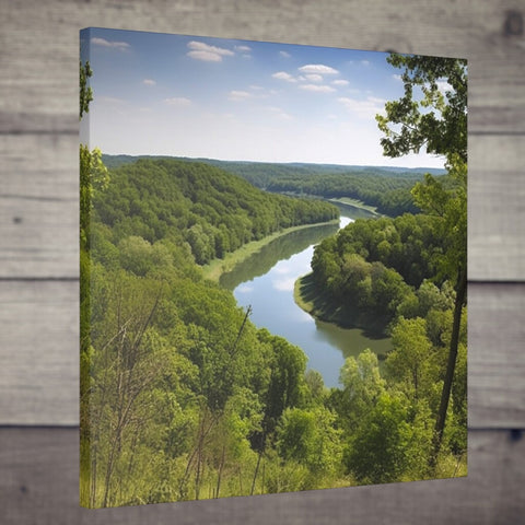 canvas print Captivating Missouri River Forest Canvas Wall Decor