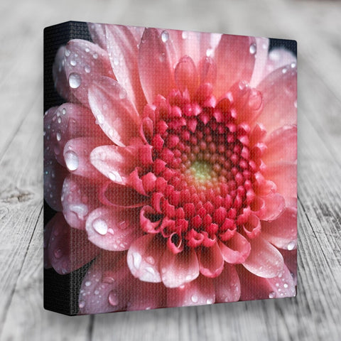 Pretty Pink Flower canvas print wall art