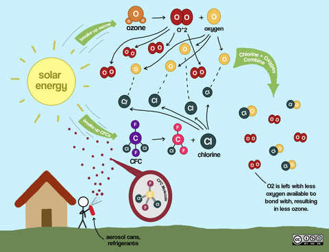 Illustration of CFCs negatively effecting stratospheric ozone production