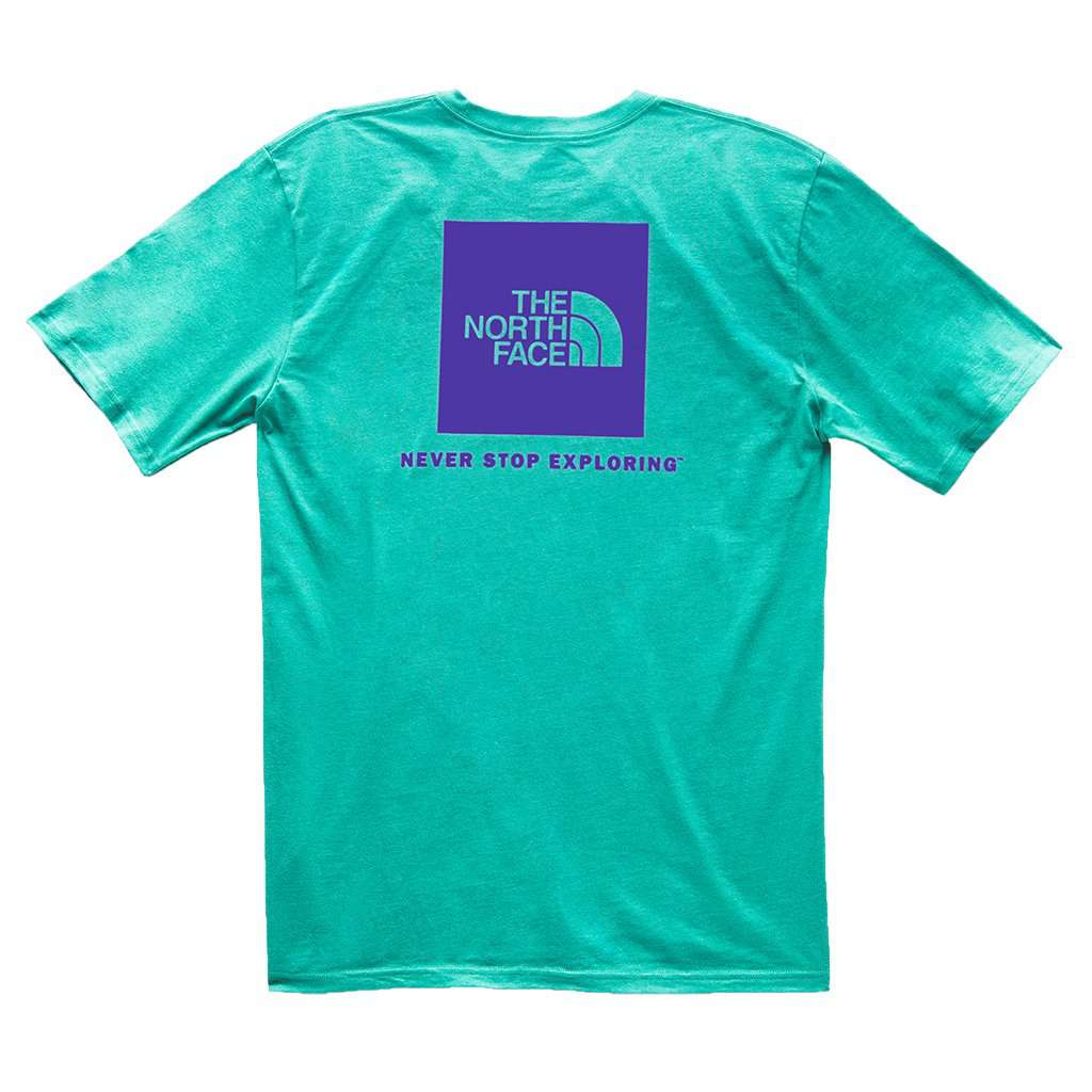The North Face Men's Red Box Tee in Porcelain Green & Deep Blue