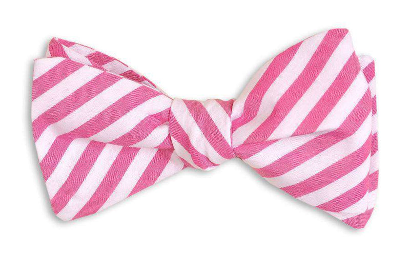 High Cotton Raspberry Stripe Bow Tie in Pink