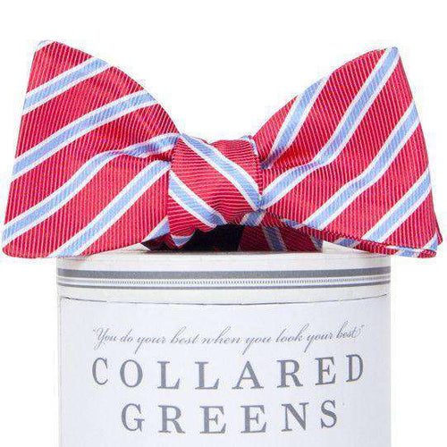 Whitman Bow Tie in Salmon Red & Carolina Blue by Collared Greens