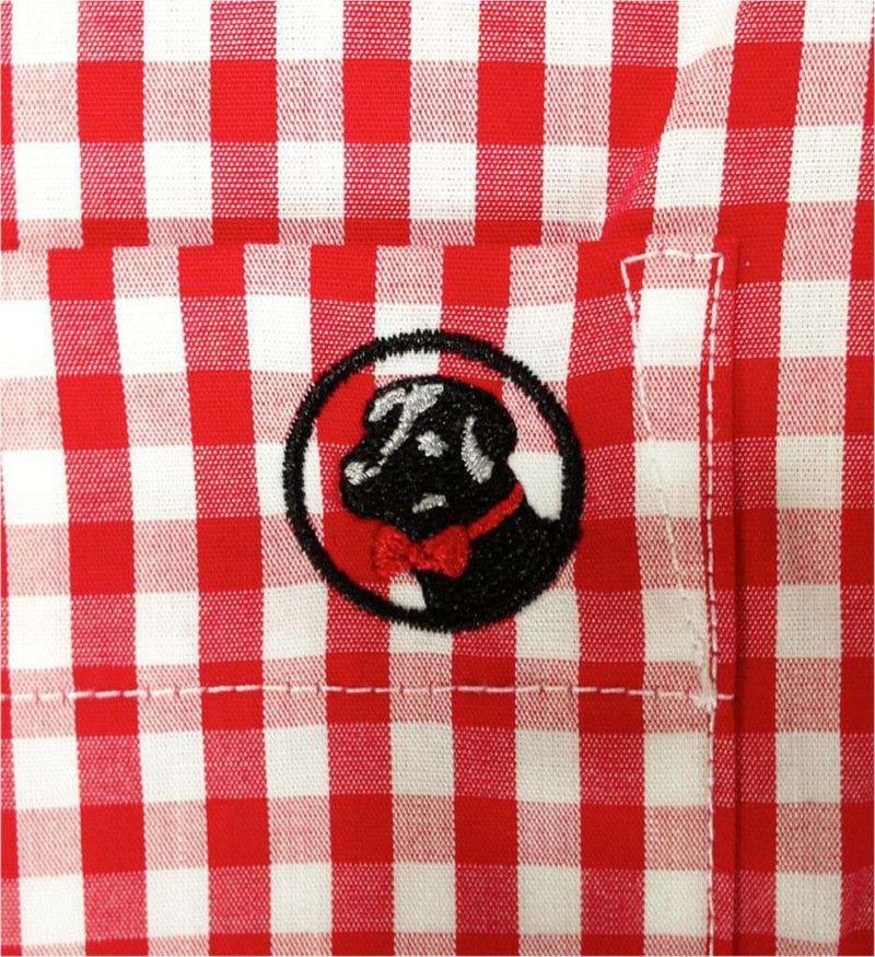 Southern Proper Goal Line Shirt in Red Gingham – Country Club Prep