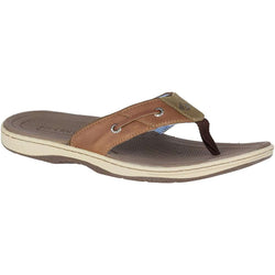 sperry baitfish thong