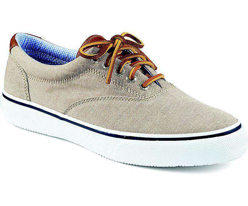 sperry chambray sneaker