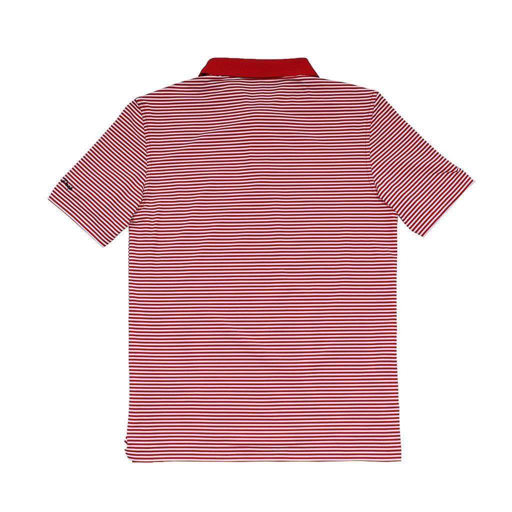 Vineyard Vines Custom Porter Stripe Performance Polo in Lighthouse Red ...