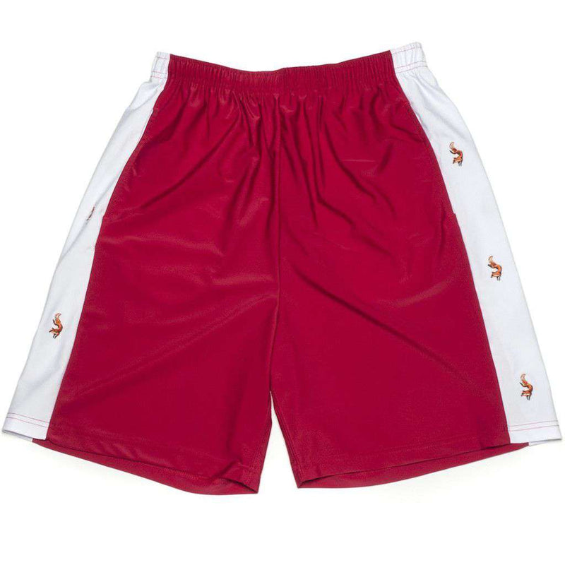 Krass and Co Fox Shorts in Maroon – Country Club Prep
