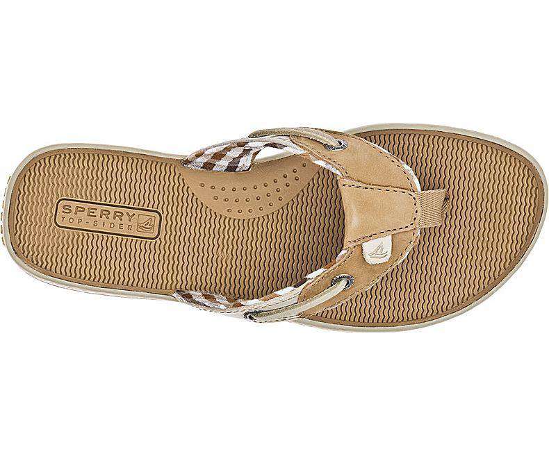 sperry sandals womens