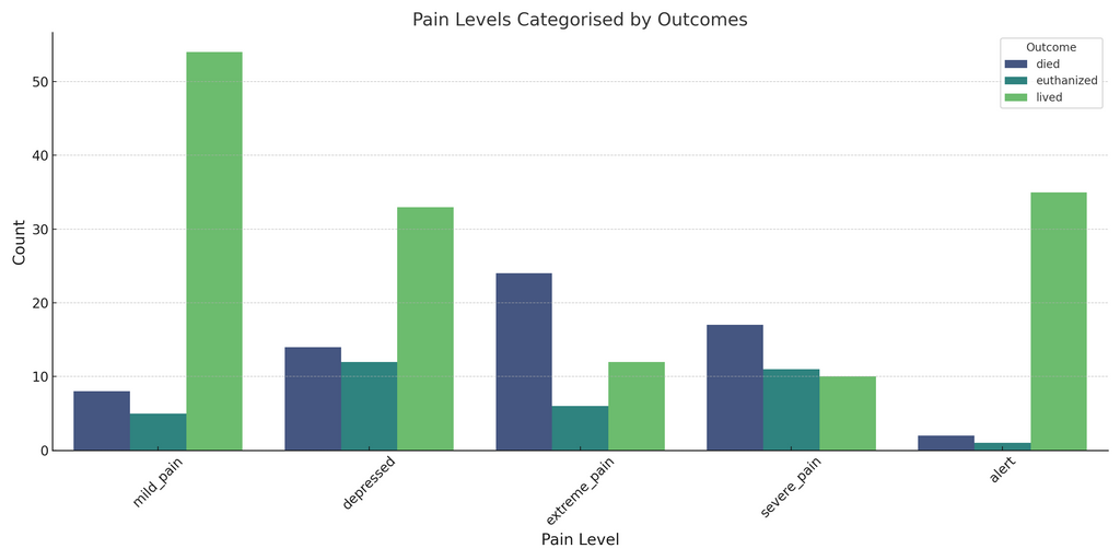 A grouped bar chart displaying the distribution of horses based on their pain levels, further categorised by outcomes (lived, died, or euthanised). Horses experiencing more severe pain levels show a higher frequency of negative outcomes.