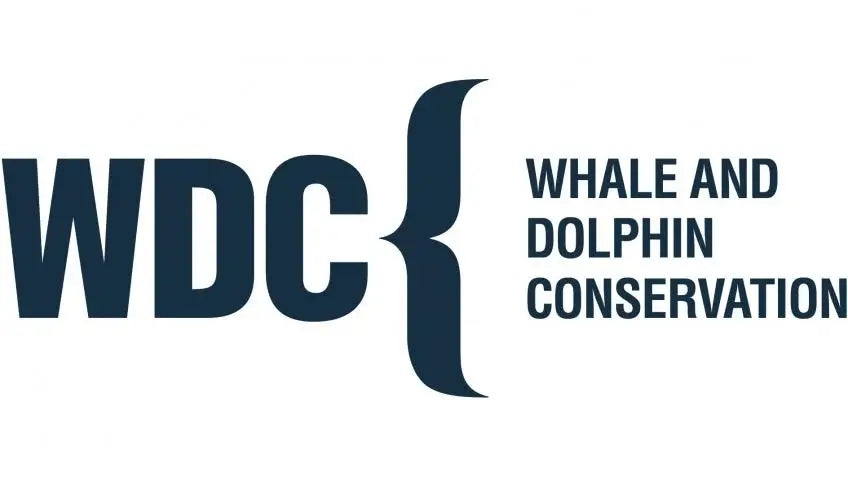 Whale_Dolphin_Logo_v2