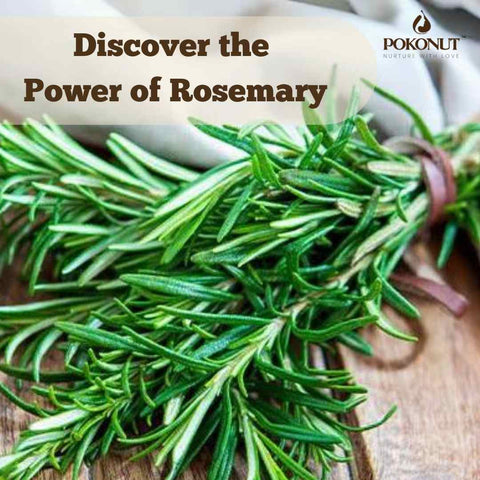 Rosemary Leaves