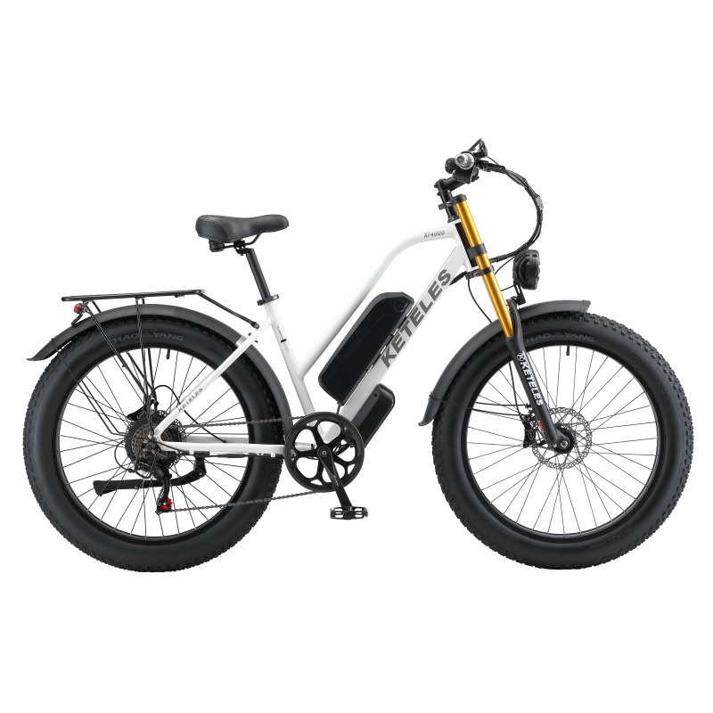 XF4000 1000W electric bike white |KETELES US Official store