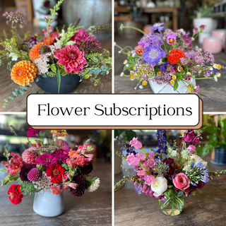 Herban Bloom Designer's Choice Seasonal Arrangement – Herban Bloom Vashon