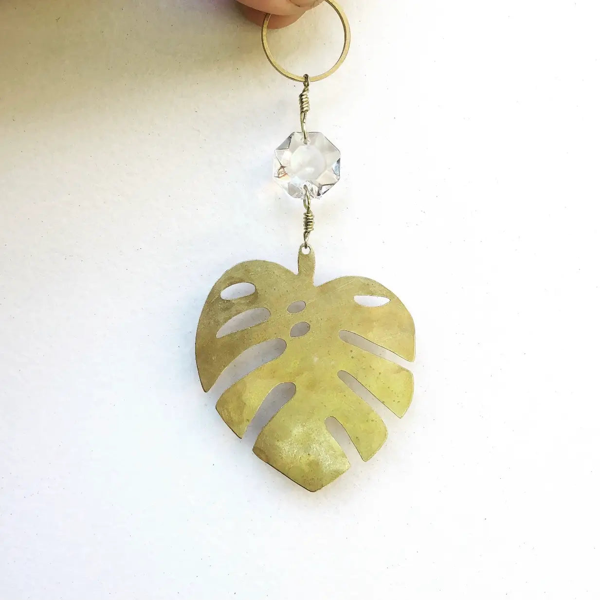 Vida + Luz | Light Catcher | Mini Monstera