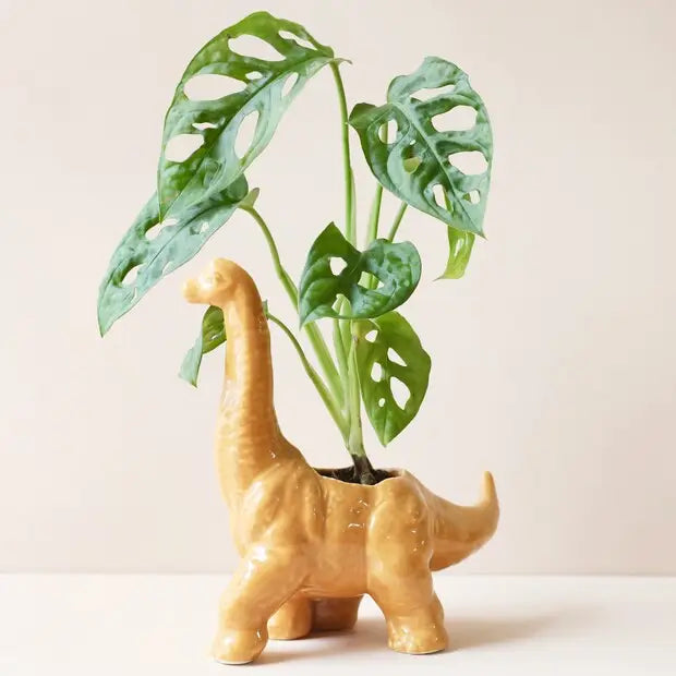 White Stegosaurus Planter