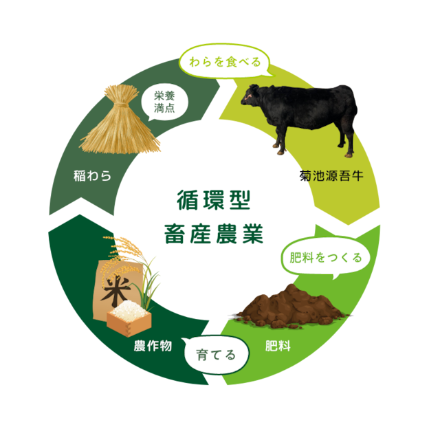 循環型畜産農業