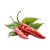 Cayenne Pepper