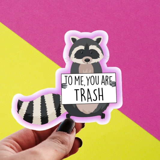 Raccoon Draw Me Like One of Your French Girls Sticker – Sticker Babe